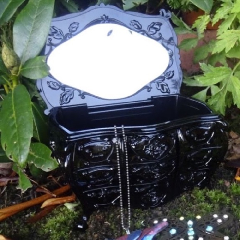 Anna Sui Beauty Box (Sold Out Everywhere)